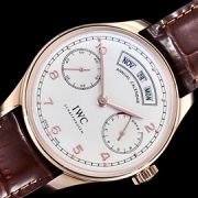 IWC ポルトギーゼ アニュアルカレンダー IW503502 ZF工場