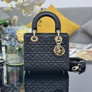 ディオール ハンドバッグ レディディオール 20×17×8cm