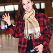 エルメス 新作。モンゴル産カシミヤ。男女兼用 32x200