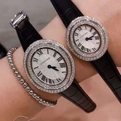 CARTIER WJHY0004 イプノーズ SM シルバー文字盤 新品