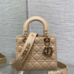 ディオール ハンドバッグ レディディオール 20×8×17cm