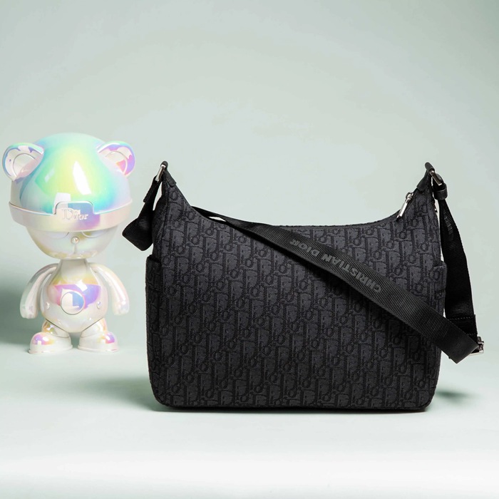 DIOR プリント餃子バッグ ライダーソフト サイズ:36x30.5x14.5cm