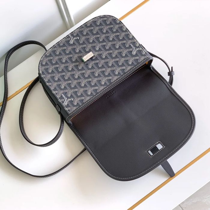 GOYARD 9202 グレー 斜め掛けバッグ、ハンドバッグ 小 22x16cm サイズ:22x16cm